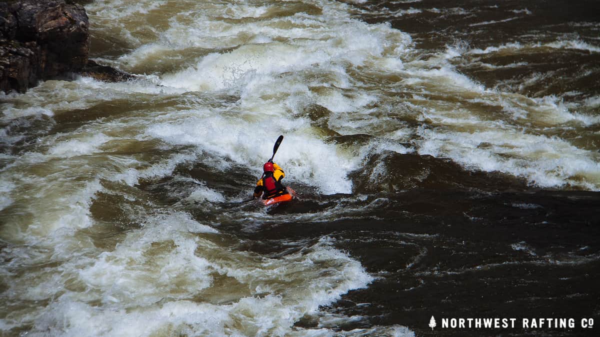 Whitewater kayak paddle - Twister X-Creek